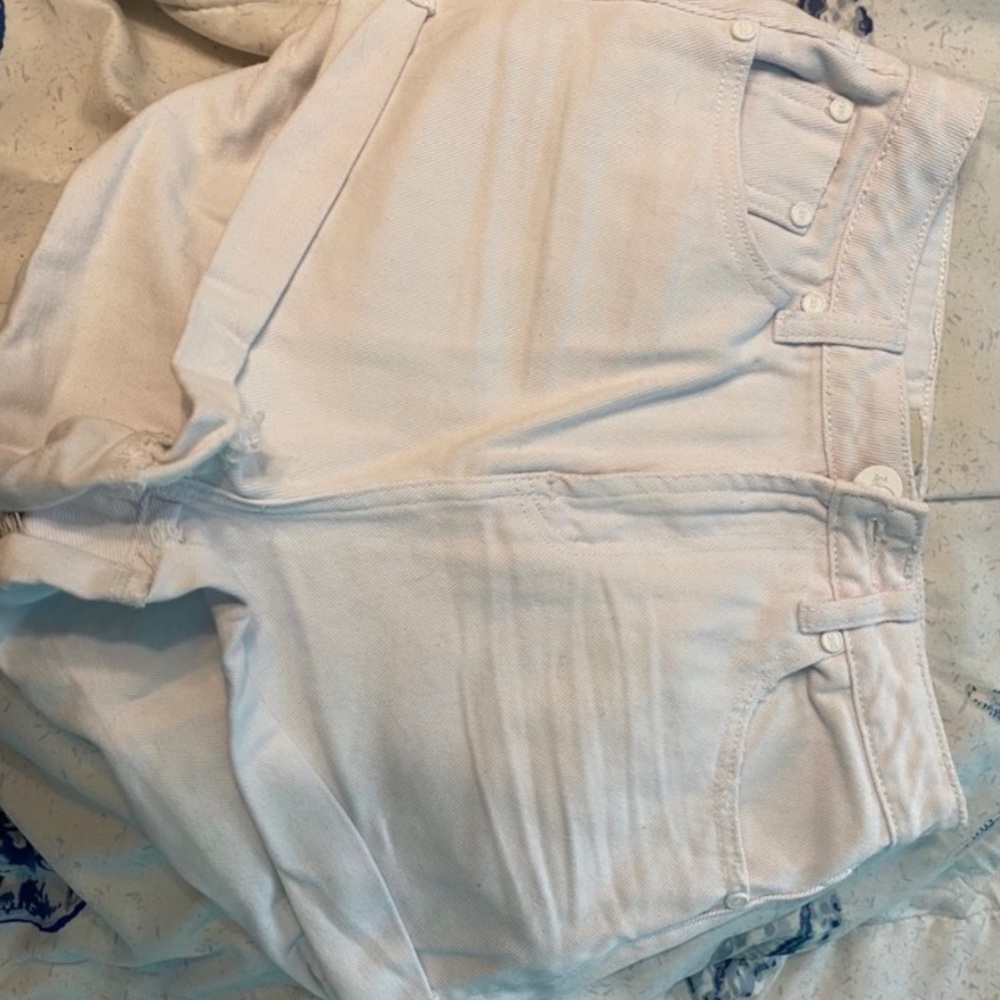 one teaspoon slouch shorts